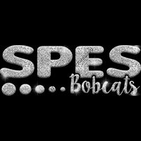 GLT80 SILVER GLITTER Thumbnail