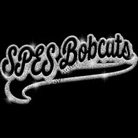 GLT78 SILVER GLITTER Thumbnail